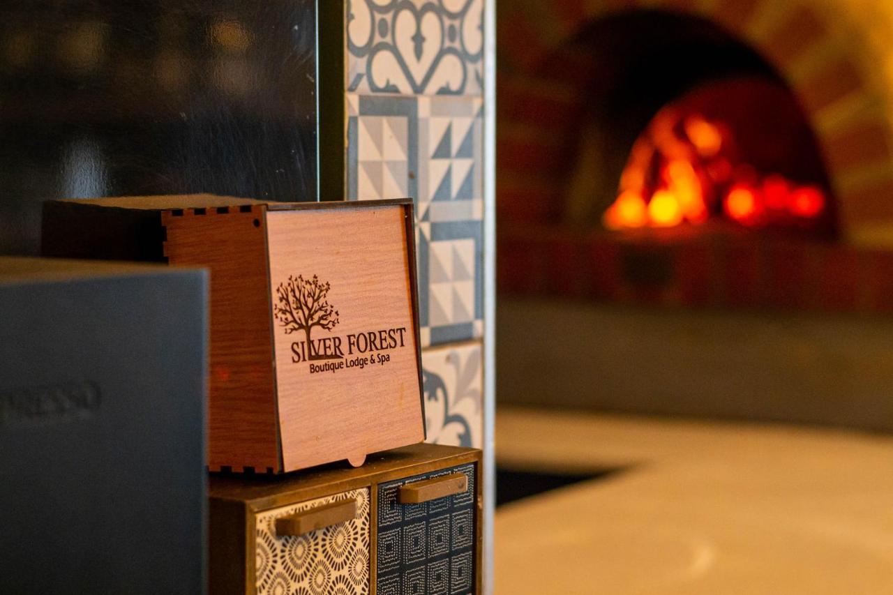 Silver Forest Boutique Hotel And Spa Somerset West Dış mekan fotoğraf